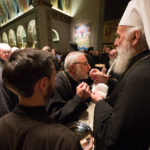 His Holiness Irinej, St. Steven's Cathedral