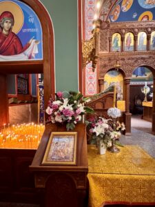 Optimized By JPEGmini 3.18.26.250256089 TBTBLNP 0xaad4e55c