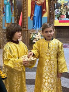 Optimized By JPEGmini 3.18.26.250256089 TBTBLNP 0xcf3b8983