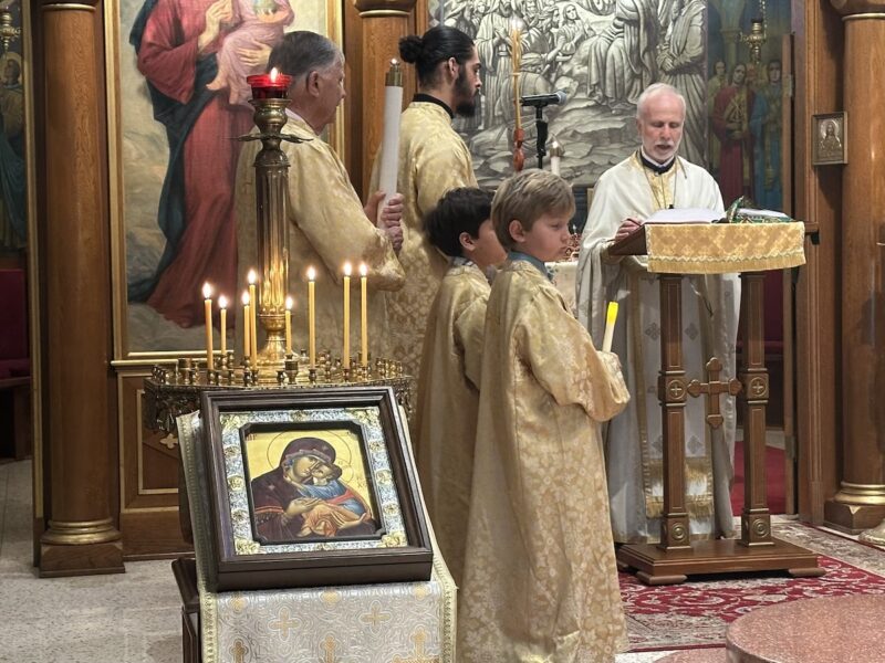 2026 02 15 Alhambra 00028