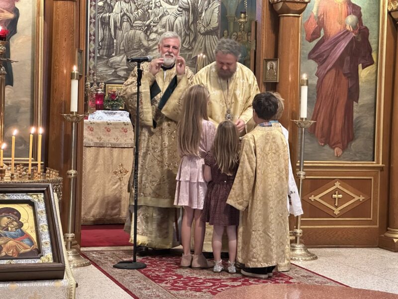 2026 02 15 Alhambra 00031